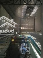 Bán Kho Xưởng 480M2 Mặt Tiền Đường Tân Hiệp 13 Hóc Môn