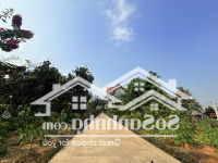 Bán Nhà Riêng 29 Tỷ, 4482M2 Tc 300M Ở Sát Quốc Lộ 51B, Long Phước, Long Thành Đồng Nai Đẹp Xuất Sắc