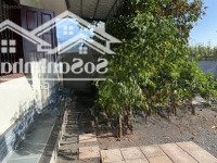 Bán Gấp Biệt Thự 3 Phòng Ngủ 2 Vệ Sinh 672M2 Tại Tỉnh Lộ 765, Đá Bạc, Châu Đức, Bà Rịa Vũng Tàu