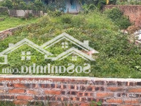 Bán Lô Góc Siêu Đẹp - Nguyên Khê, Đông Anh. Oto Tránh Nhau