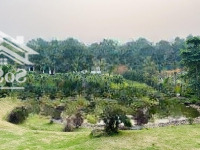 Bán Đất Nền 1200M2 Tại Vân Hòa, Ba Vì, Hà Nội, 5,5 Tỷ, Hàng Hot Bao Đẹp