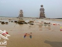 Hàng Hiếm Tại Đt 617, Núi Thành, Quảng Nam, 6,6 Triệu / M2, 1200 M2