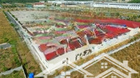 Bán 1 Lô Duy Nhất Dự Án Nam An, Cách Ql13 300M. 100M2, Nằm Ngay Kcn Bàu Bàng, Giá: 1,45 Tỷ