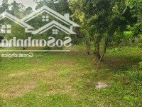 Bán Lô Đất S=3800M2 Tại Xã Cao Sơn-Lương Sơn Giá Siêu Rẻ Cơ Hội Đầu Tư Sinh Lời Cao Trong Tương Lai