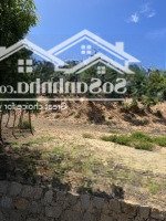 Bán Lô Đất Thôn Sơn Hải 2 - Xã Phước Dinh Đối Diện Đài Phát Sóng Nam Trung Bộ. 1542M2 Mặt Tiền 20M