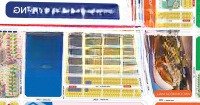 Cần Bán Lô Biệt Thự Nhà Phố Tại Dự Án Vinhomes Cổ Loa Diện Tích 62,5M2 Đất. Dtxd 280 M2