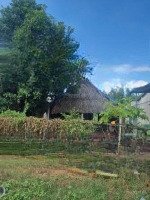 Cần Bán Gấp Lô Đất Mặt Tiền Đường Bà Thiên Xã Nhuận Đức Củ Chi Diện Tích 1816M2