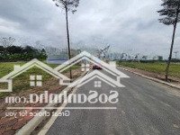 Bán Đất Đấu Giá Thanh Cao Vớidiện Tích84M2.Mặt Tiềnvà Hậu Rộng 5M, Đường Rộng 9M Rất Tiềm Năng Ạ