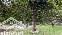 Homestay Cực Hiếm Tại Cư Yên - Lương Sơn - Hòa Bình