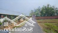 Bán Đất Tại Xã Phước Thạnh, Gò Dầu, Tây Ninh, 899 Triệu, 130.5M2