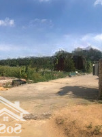 Cho Thuê Đất 180.000M2 Kho 300M2, Văn Phòng 300M2 Trạm Cân, Bình Điện 560Kva Hưng Long, Bình Chánh