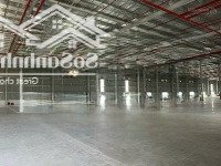 Cho Thuê Xưởng Mới Xây Trong Kcn Bình Dương