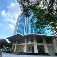 Cho Thuê Tòa Văn Phòng VIP 11 Tầng MP Trần Thái Tông.DT 315m2. Lô Góc. Giá 700tr/th
