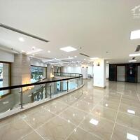 Cho Thuê Tòa Văn Phòng VIP 11 Tầng MP Trần Thái Tông.DT 315m2. Lô Góc. Giá 700tr/th