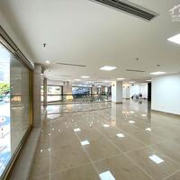 Cho Thuê Tòa Văn Phòng VIP 11 Tầng MP Trần Thái Tông.DT 315m2. Lô Góc. Giá 700tr/th