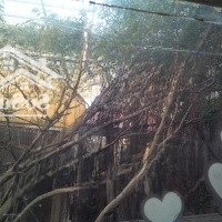 Chính Chủ Bán Nhà Nhỏ Phố Cổ Hà Nội, Ngo To Ngang 6M, Cách Mặt Đường Cao Bá Quát, Ba Đình 20M,