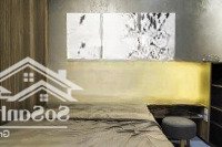 Cho Thuê Sunrise Cityview Nhà Đẹp Thiết Kế Sang Trọng Vào Liền Chỉ Từ 13 Triệu5