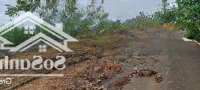 Bán Gấp Đất Khu Vực Lộc An Giá Cực Hấp Dẫn