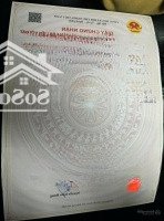 Vip! Mở Bán Lô Góc 3 Mặt Tiền Đẹp Nhất Tại Bìa Làng Thôn Nam Cương - Hiền Ninh - Sóc Sơn - Hà Nội.