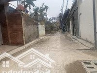 41M Hải Bối Siêu Hiếm - Ô Tô Vào Đất