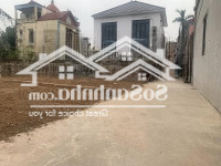 41M Hải Bối Siêu Hiếm - Ô Tô Vào Đất