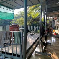 Bán 1000m2 Nhà Đất Chính chủ, Thổ cư 100m2 Tại xã Thái Bình, huyện Châu Thành, Tây Ninh, Giá chỉ 85tr/m Ngang.