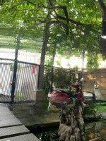 Bán Gấp Nhà Hẻm Thông 6M Xe Hơi Quay Đầu. Gần Mặt Tiền, Nhà 4 Tầng Đúc Kiên Cố, 88M2 Giá Chỉ 9.2 Tỷ