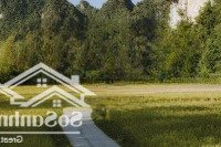 Bán Lô Đất 4.800M2 Nguyễn Bình - Phú Xuân - Nhà Bè Giá Tốt