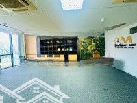 Cho Thuê Văn Phòng Tại Hoàng Quốc Việt, 11 Triệu Vnd, 60M2, Giá Tốt, Uy Tín
