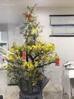 Gia Đình Bán Căn Góc Central Plaza 91 Phạm Văn Hai Q.tb.diện Tích66M2 2P, 2 Vệ Sinh Giá Bán 4,1 Tỷ. Liên Hệ: 0767318443