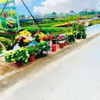 Bán Trung Tâm Thương Mại phố Trần Nhân Tông, Thị xã Quảng Yên, tỉnh Quảng Ninh.