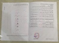 Mảnh Này 100 Mét Sát Biển Quất Lâm , Đường Thông Tứ Phía Đường To Giá Rẻ Nhất Thị Trường
