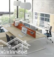 Cho Thuê Mặt Bằng Kinh Doanh Phố Nguyễn Đức Cảnh -Diện Tích250M2 X 2 Tầng -Mặt Tiền8M - Giá 50 Triệu