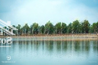 Bán Bt Eco Retreat Long An, Hàng Hời Để Đầu Tư Tại Thanh Phú, Bến Lức, Long An