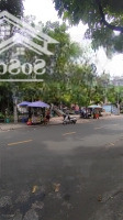Tôi Chính Chủ Bán Nhà Mặt Tiền, Đối Diện Công Viên, 59 Phan Đình Phùng, Tân Thành, Quận Tân Phú