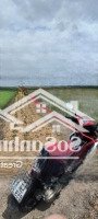Gấp Cần Bán Rẻ Đất Nn 1000M2 Gần Bv Nhi Đồng Giá Bán 900 Triệu