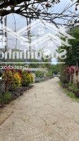 493M/400M Lâm Sơn - Lương Sơn Sẵn Nhà Cấp 4 Ở Luôn Giá Chính Chủ Cần Bán