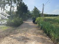 Chính Chủ Cần Bán Lô Đất 336 M2 Thổ Cư 90M2 Tại Thôn Đồi Sen, Bình Yên, Thạch Thất, Hà Nội