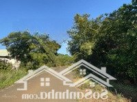 Chính Chủ Bán Gấp 3000M2 Có 200M2 Thổ