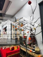 Cho Thuê Biệt Thự San Hô, 135M2, Mặt Tiền 9M, Gần Công Viên, Gần Hồ, Full Đồ, Giá Tốt !!!!