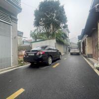 ĐẤT KHẨU PHƯỜNG TRƯỜNG THI TP VINH