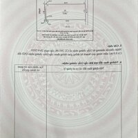 ĐẤT KHẨU PHƯỜNG TRƯỜNG THI TP VINH