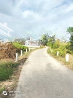 1178M2 Đất Nông Nghiệp. Mặt Đường Xe Hơi Và Mặt Sông. Phước Lại Cần Giuộc Long An, Bán 1Tỷ850/1000