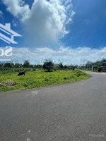 Bán Đất Tại Đường Tô Ngọc Vân, Tam Bình, Thủ Đức, Hồ Chí Minh, 25 Tỷ, 2394 M2 Hot!