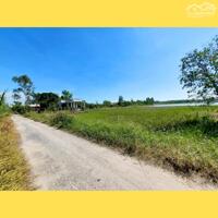 Hơn 1.000mv đất làm vườn có thổ cư