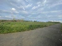 Chính Chủ Bán Đất Tại Nguyễn Huệ, Xã Đam Bri, Bảđam Bri, Bảo Lộc, Lâm Đồng, 1,8 Tỷ, 400 M2.