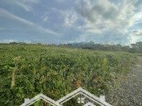 Chính Chủ Bán Đất Tại Nguyễn Huệ, Xã Đam Bri, Bảđam Bri, Bảo Lộc, Lâm Đồng, 1,8 Tỷ, 400 M2.