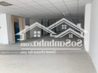 Cho Thuê Tòa Nhà Đường Hoàng Hoa Thám Quận Tân Bình