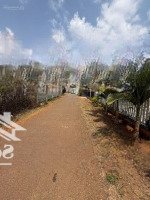 Bán Lô Đất 7X80M Sẵn 100M2 Tc, Cách Ql 20 700M