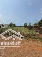 Bán Lô Đất 7X80M Sẵn 100M2 Tc, Cách Ql 20 700M
